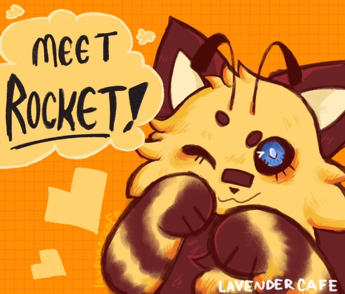 Rocket’s Intro post :) Rocket’s Intro post :)